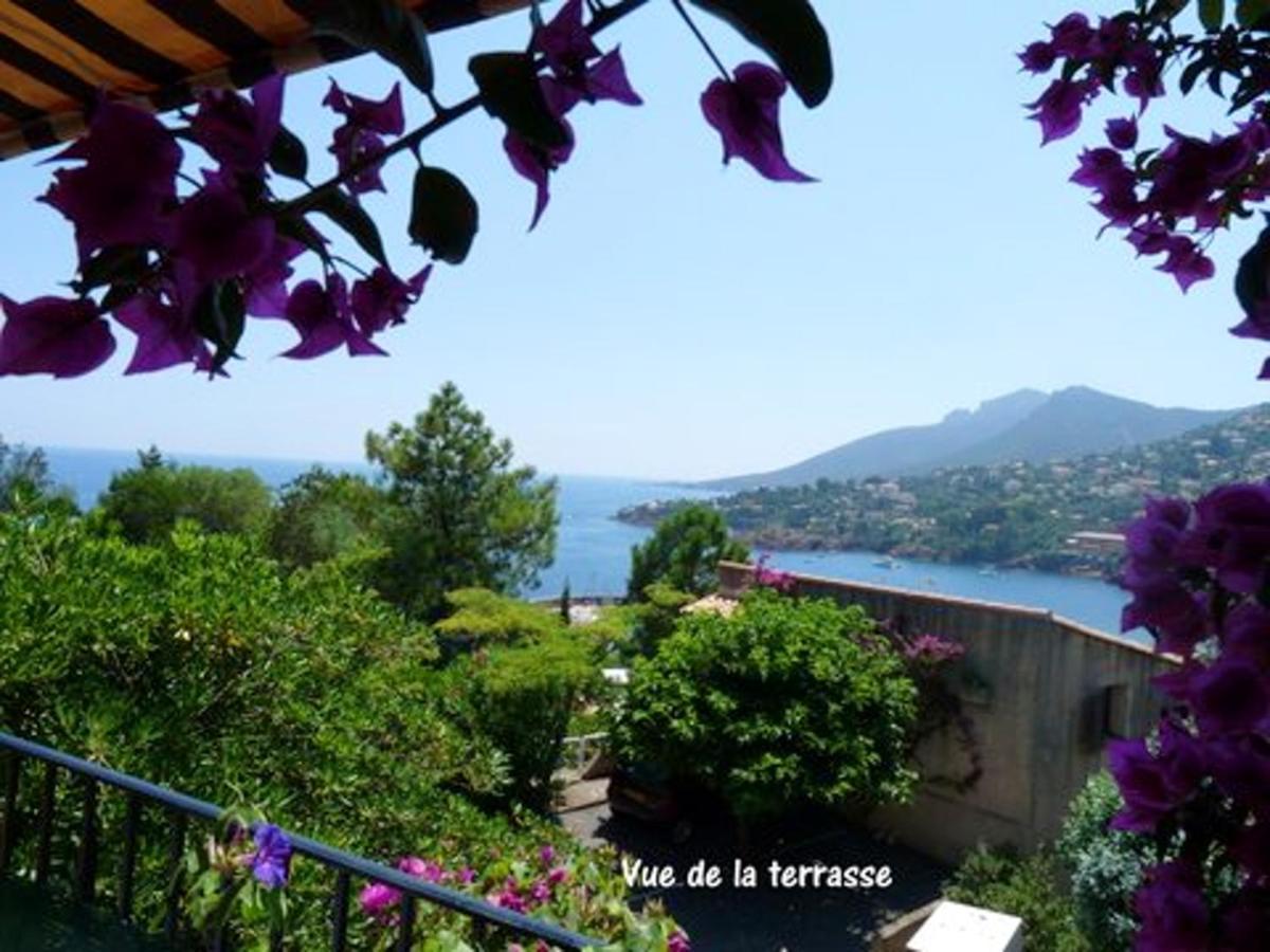 Studio A Theoule Sur Mer A 400 M De La Plage Avec Vue Sur La Mer Terrasse Amenagee Et Wifi Apartment Luaran gambar